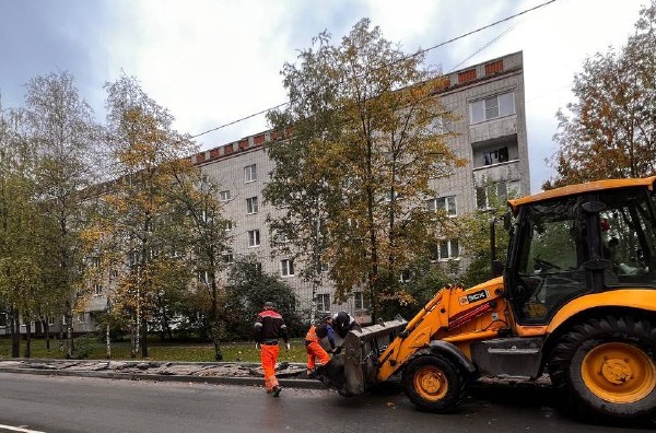 Активисты Молодежной палаты рассказали о благоустройстве