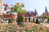 Фестиваль «Московское лето. Цветочный джем»: оценка москвичей