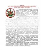 Памятка об ответственновсти за незаконное культивирование наркосодержащих растений